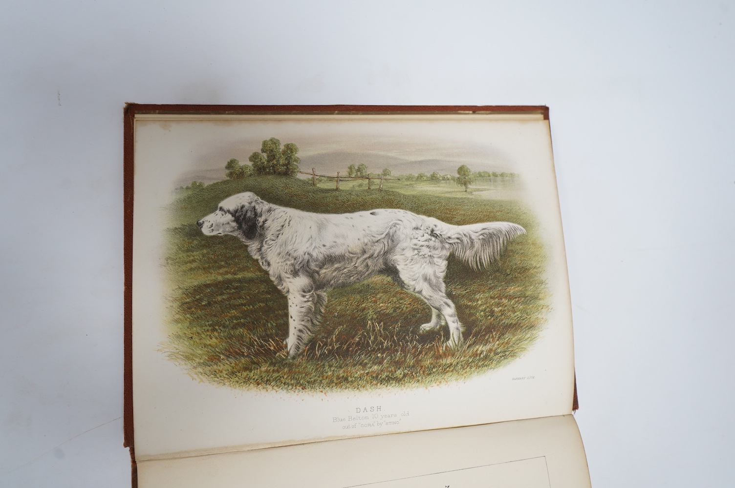 Laverack, Edward - The Setter: with notices of the most eminent breeds now extant ... 1st edition. 2 coloured plates; original blind ruled and gilt decorated cloth with ge. 1872